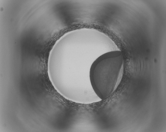 X0000088210918200706121801