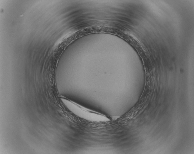 X0000088210919200706121801