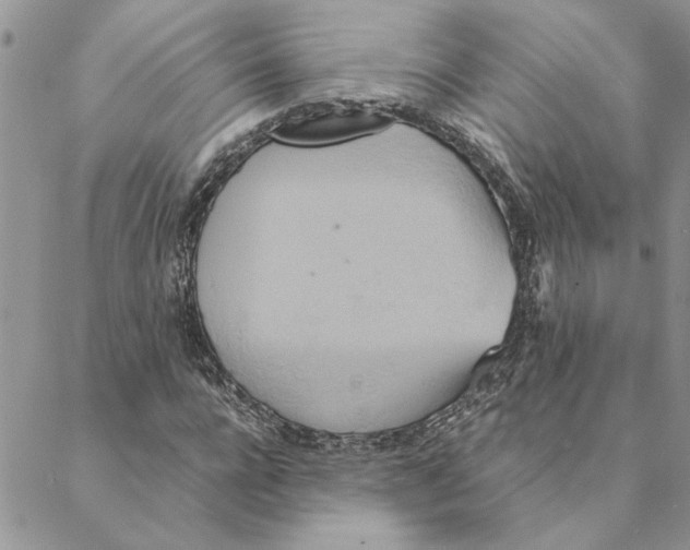 X0000088210920200706121801