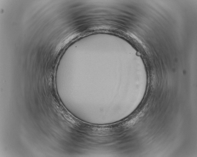 X0000088210921200706121801