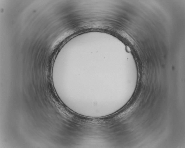 X0000088210922200706121801