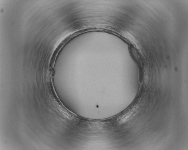 X0000088210924200706121801