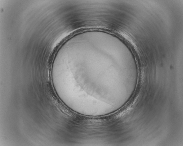 X0000088210925200706121801