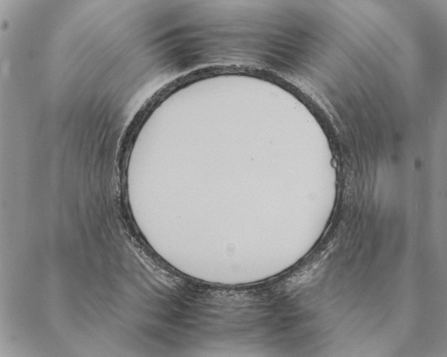 X0000088210927200706121802