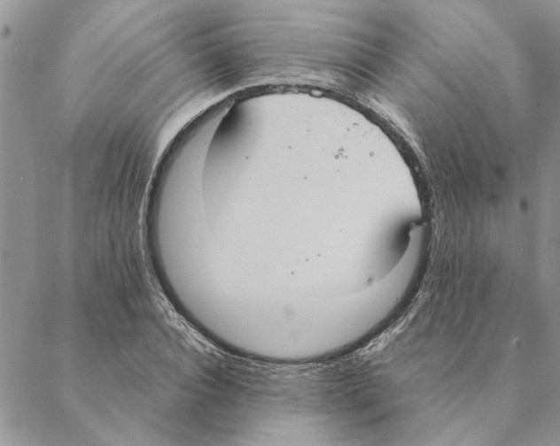 X0000088210928200706121802