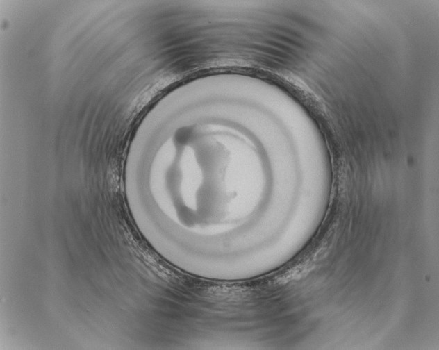 X0000088210929200706121802