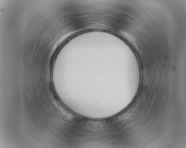 X0000088210931200706121802