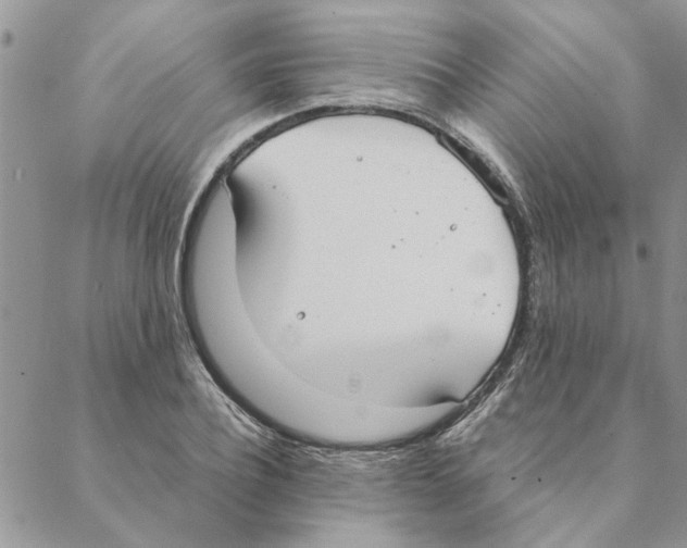 X0000088210932200706121802