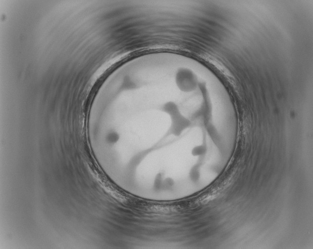 X0000088210933200706121802