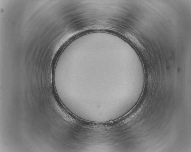 X0000088210934200706121802