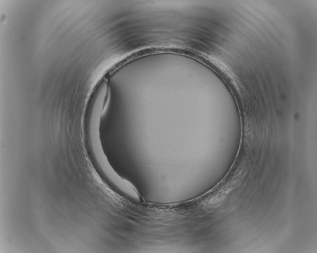 X0000088210935200706121802