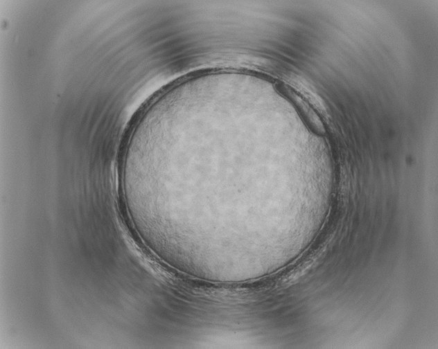 X0000088210936200706121802