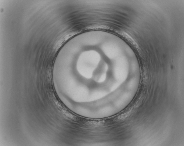 X0000088210937200706121802