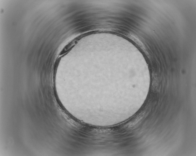 X0000088210939200706121802