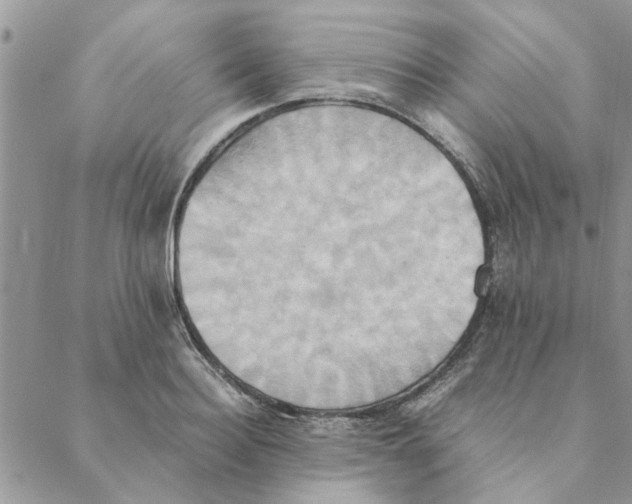 X0000088210940200706121802