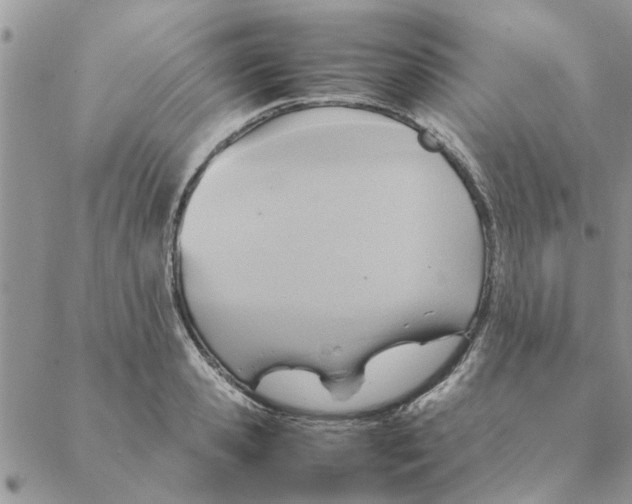 X0000088210941200706121802