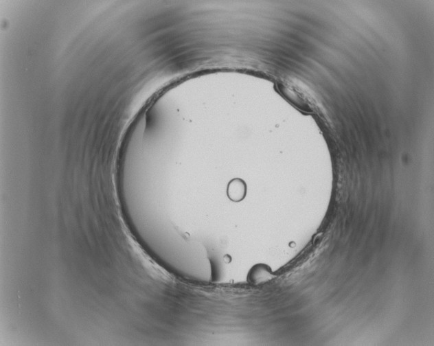 X0000088210942200706121802