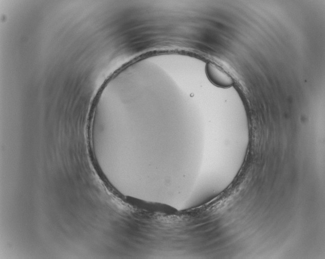 X0000088210943200706121802