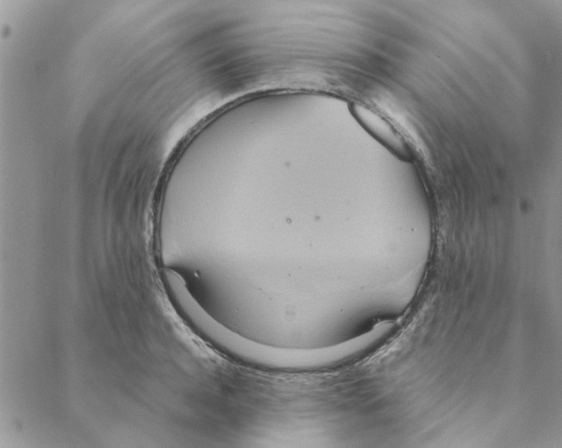 X0000088210944200706121802