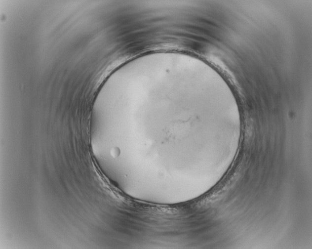 X0000088210945200706121802