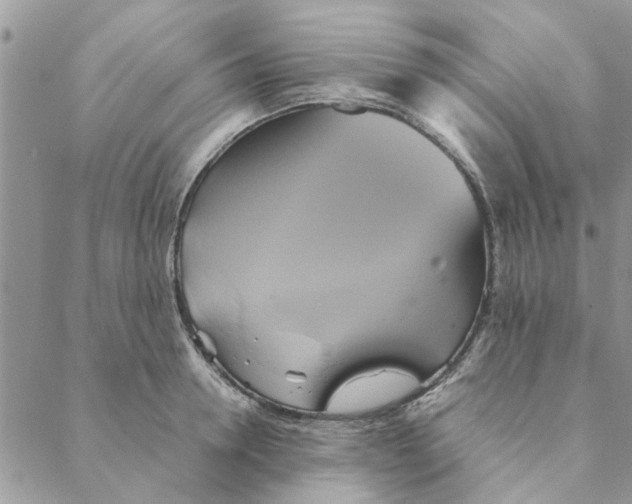 X0000088210946200706121802