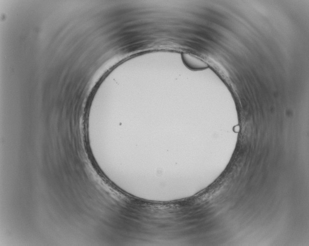 X0000088210947200706121802