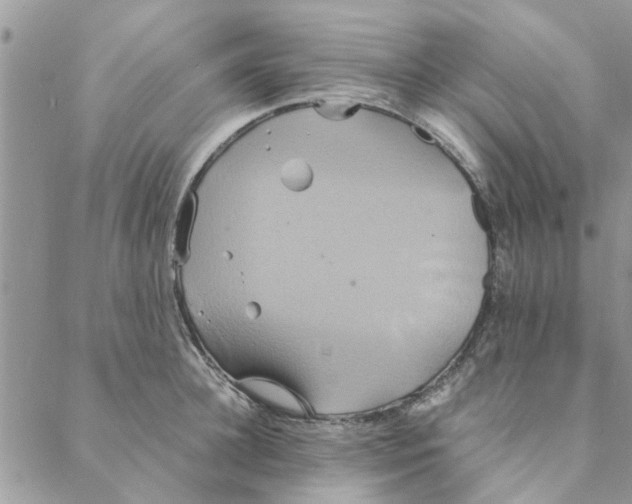 X0000088210948200706121802