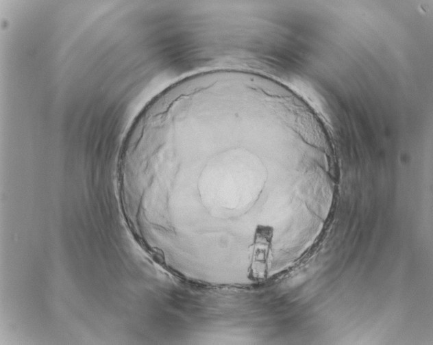 X0000088210950200706121802