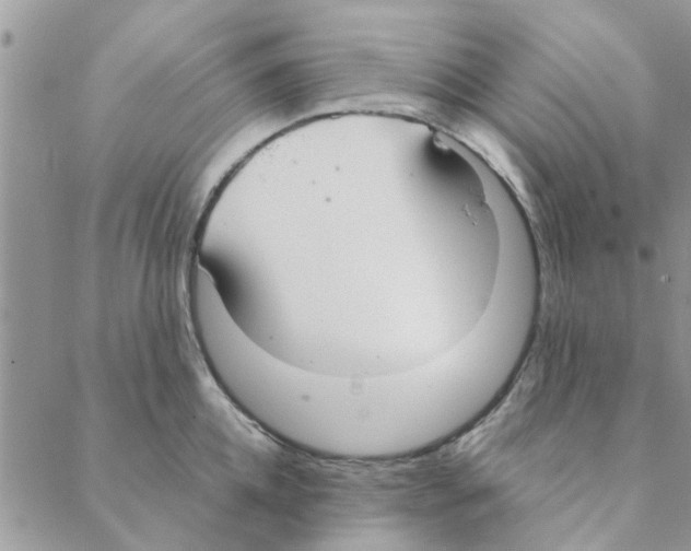 X0000088210952200706121802