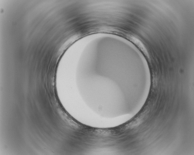 X0000088210954200706121802