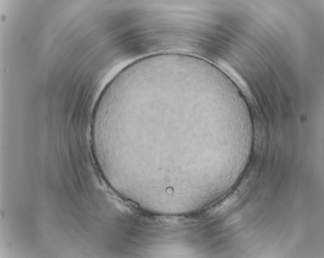 X0000088210956200706121802