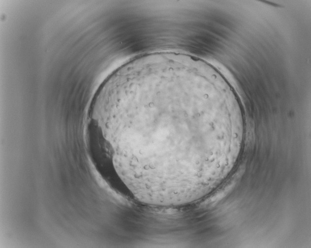 X0000088210957200706121802