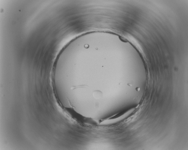 X0000088210958200706121802