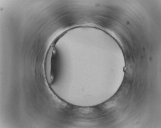 X0000088210959200706121802