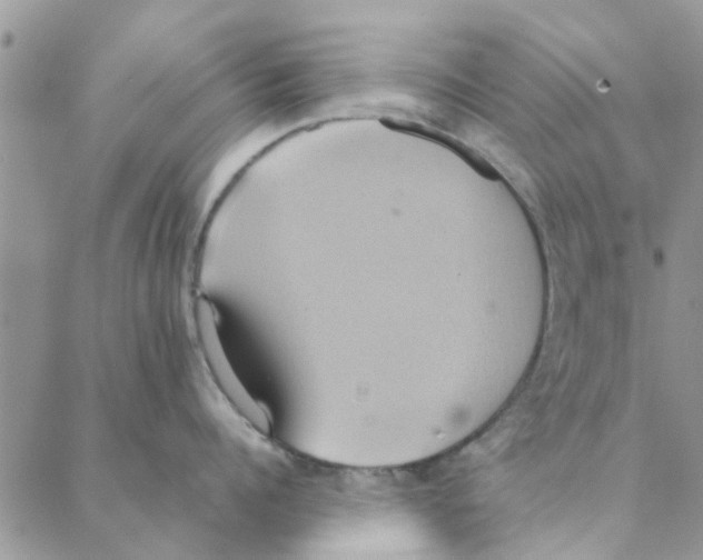 X0000088210960200706121802