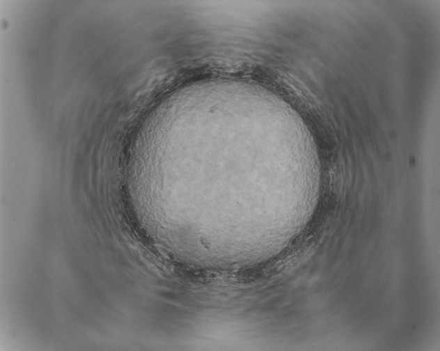 X0000088210961200706121801