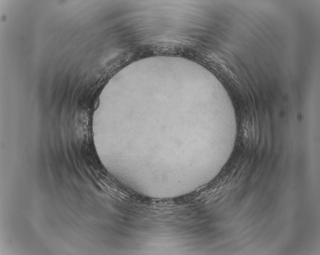 X0000088210964200706121801