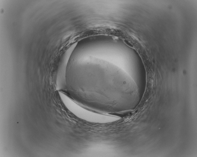 X0000088210965200706121801