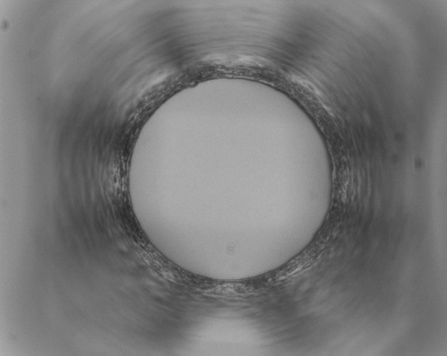 X0000088210966200706121801