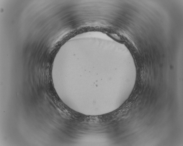 X0000088210968200706121801