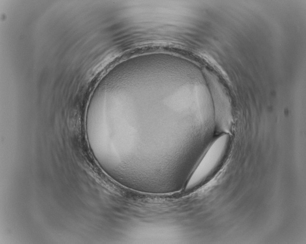 X0000088210969200706121801