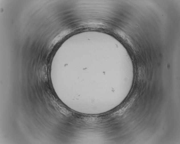 X0000088210970200706121801