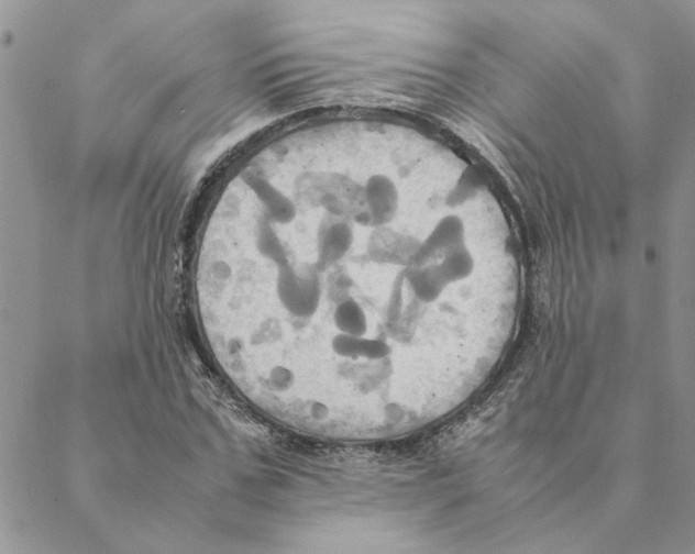 X0000088210971200706121801