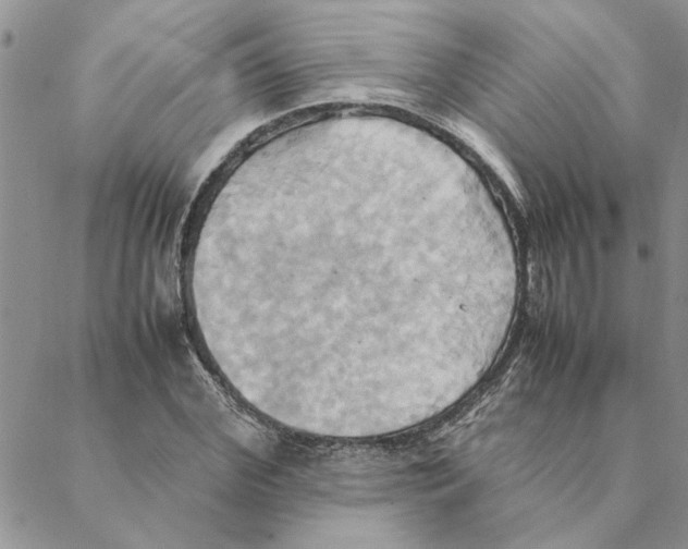 X0000088210972200706121801