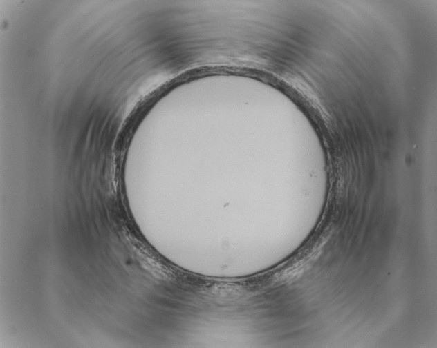 X0000088210974200706121801