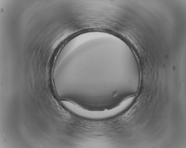 X0000088210975200706121801