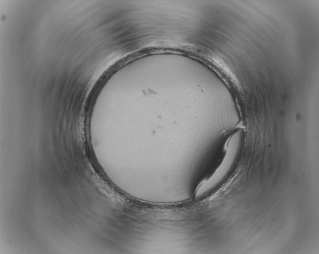 X0000088210976200706121801