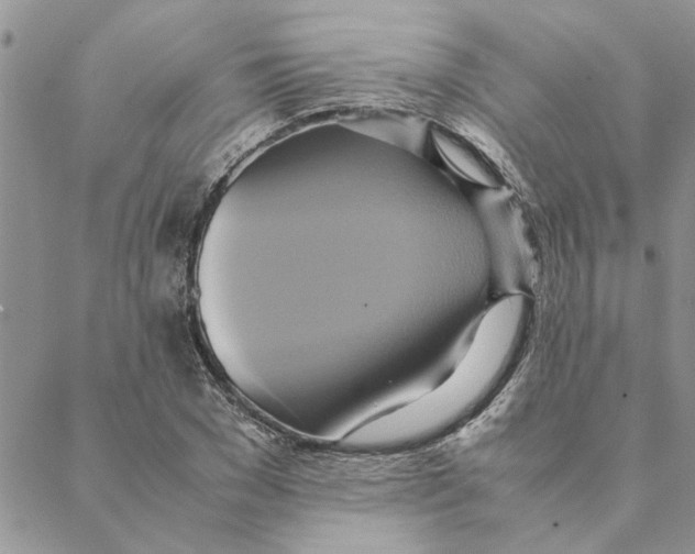 X0000088210977200706121801