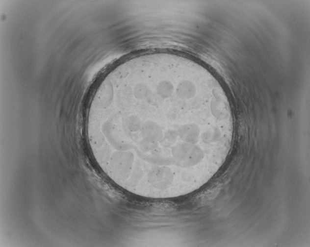 X0000088210979200706121801