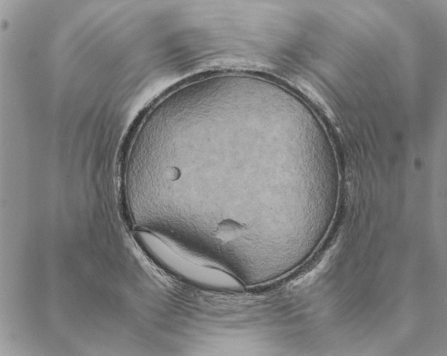 X0000088210981200706121801